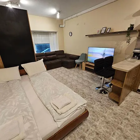 Bright And Cozy With Garage Near The Center