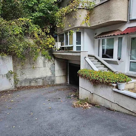 Bright And Cozy With Garage Near The Center